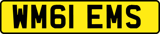 WM61EMS