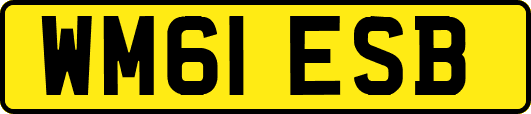 WM61ESB