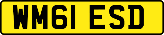 WM61ESD