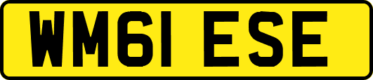 WM61ESE