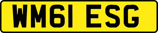 WM61ESG