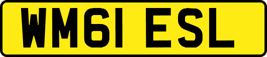 WM61ESL