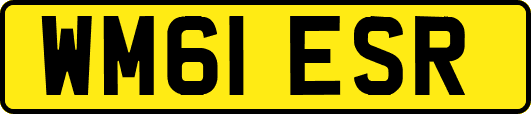 WM61ESR