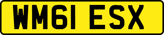 WM61ESX