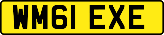WM61EXE