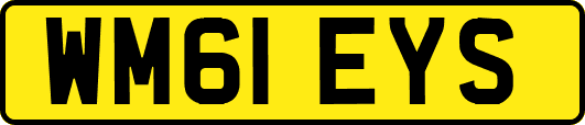 WM61EYS