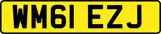 WM61EZJ