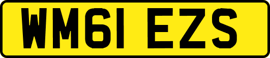 WM61EZS