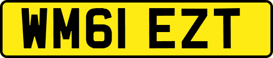 WM61EZT