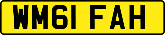 WM61FAH