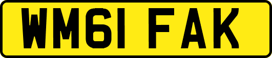 WM61FAK
