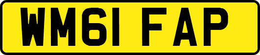 WM61FAP