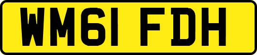 WM61FDH