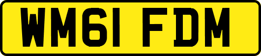 WM61FDM