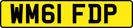 WM61FDP