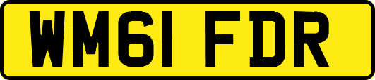 WM61FDR