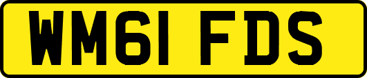 WM61FDS