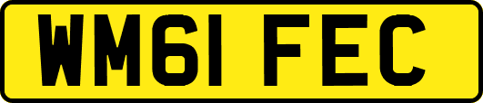 WM61FEC