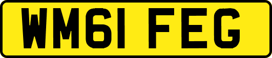 WM61FEG