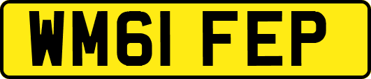 WM61FEP