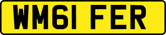 WM61FER