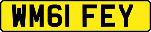 WM61FEY