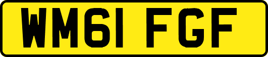WM61FGF