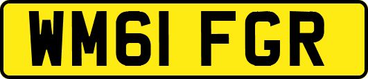 WM61FGR