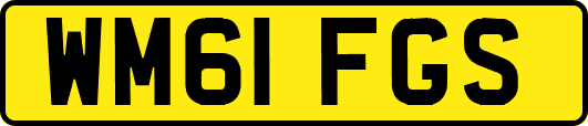 WM61FGS