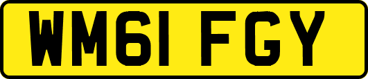 WM61FGY