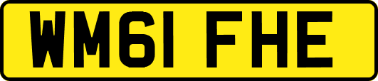 WM61FHE