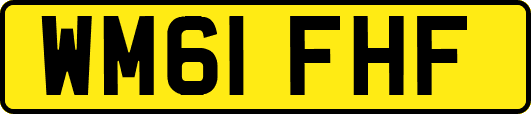 WM61FHF