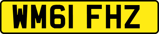 WM61FHZ