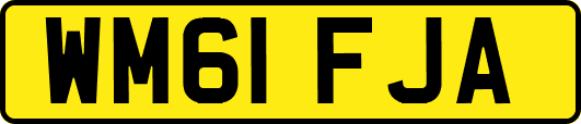 WM61FJA