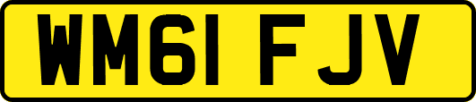 WM61FJV