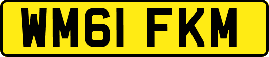WM61FKM