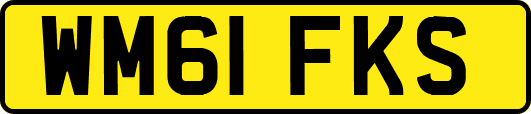 WM61FKS