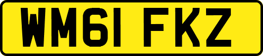 WM61FKZ