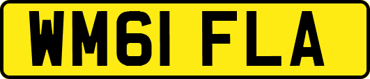 WM61FLA