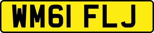 WM61FLJ