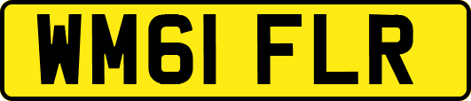 WM61FLR