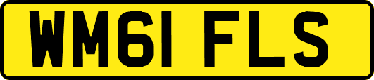 WM61FLS
