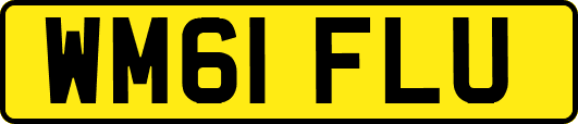 WM61FLU