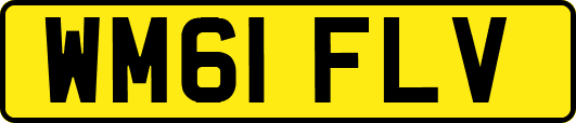 WM61FLV
