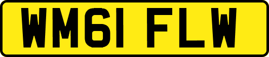 WM61FLW