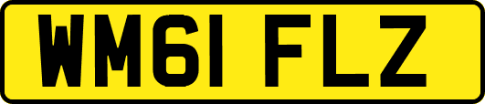 WM61FLZ