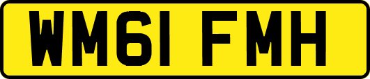 WM61FMH