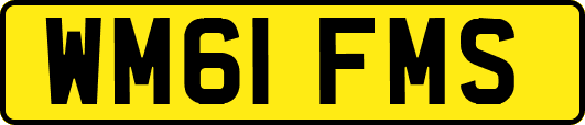WM61FMS