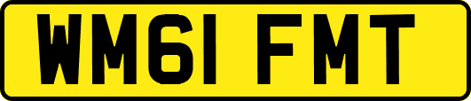 WM61FMT