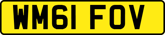 WM61FOV